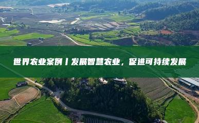 物联网技术赋能智慧农业 全球案例与可持续发展路径